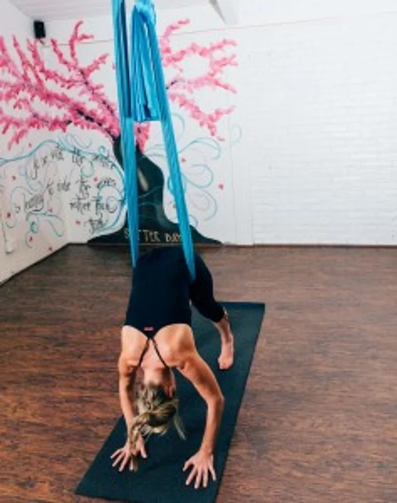 Finding Lightness in Aerial Silks