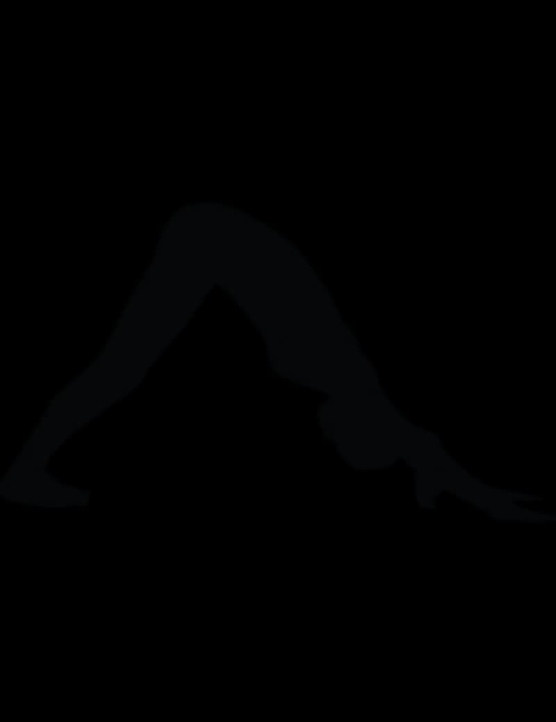 Downward Facing Dog Pose