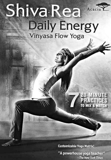 Shiva Rea: Power Flow Yoga (DVD)